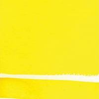 Cadmium Yellow Light Hue