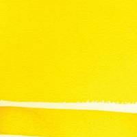 Cadmium Yellow Medium Hue